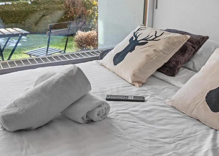 Renove Au Centre De La