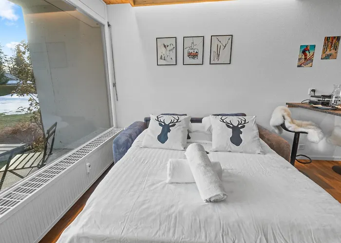 Renove Au Centre De La